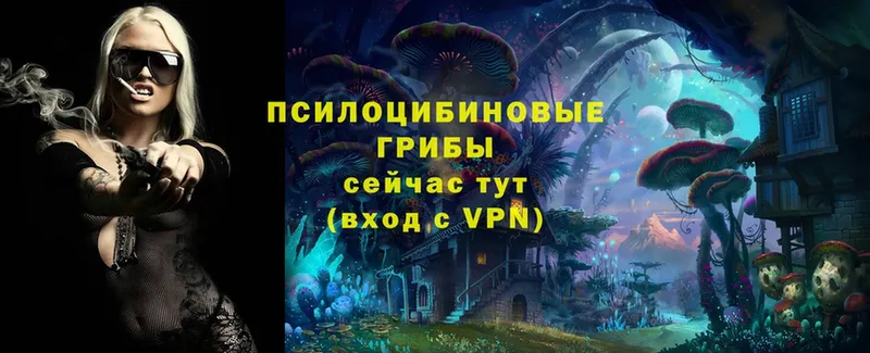 Галлюциногенные грибы MAGIC MUSHROOMS  hydra маркетплейс  Шагонар 